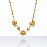 Collana Eden